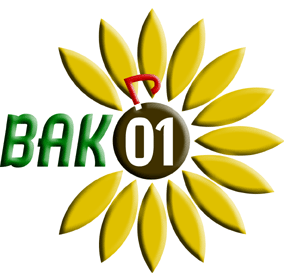 2001