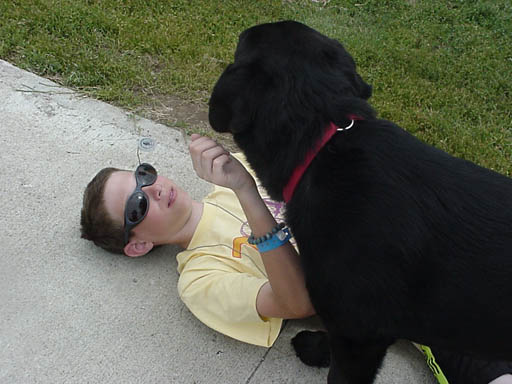 mattdog