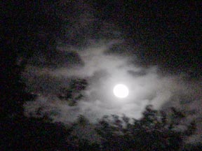 Moonlight