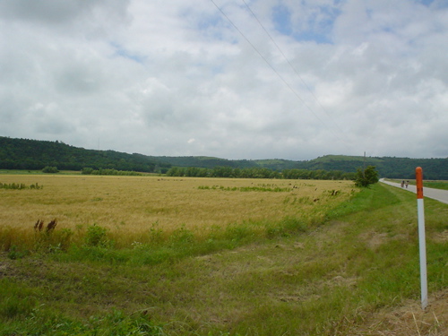 DSC00162