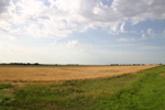 IMG_1203