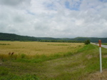 DSC00162