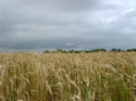 DSC00145