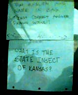 Trivia