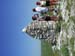 DSCN0985