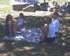 picnic