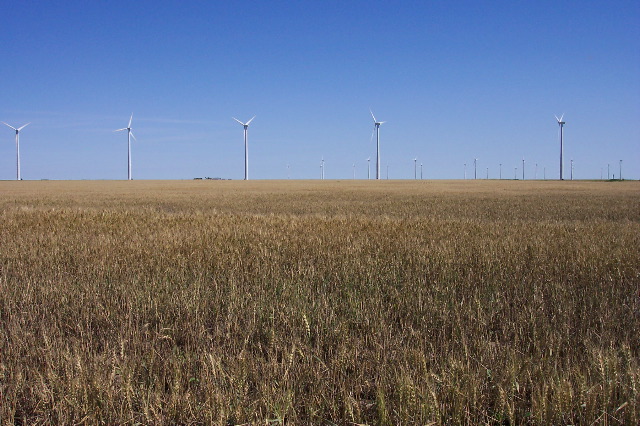 The Wind & the Wheat