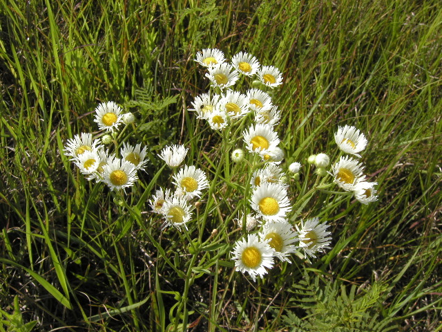 P6137714