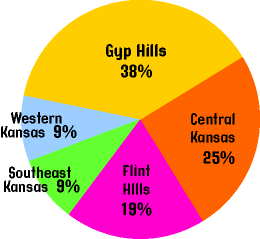 Pie Graph